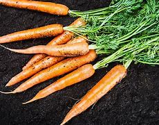 Image result for Imperator Carrot