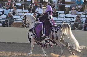 Image result for Arabian Horse Native Costume