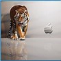 Image result for Apple TV Wallpaper Fish