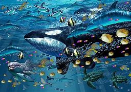 Image result for Warm Water Ocean Animals
