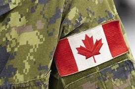 Image result for Brown V Canadian Armed Forces