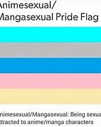 Image result for Anime Pride Flag