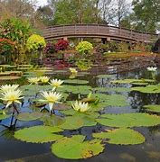 Image result for Aquatic Botanical Garden