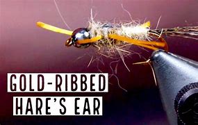 Image result for Hare's Ear Nymph Fly Pattern