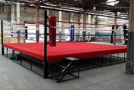 Image result for Home Boxing Ring