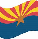Image result for University of Arizona Flag