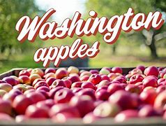 Image result for Washington Apples Images
