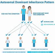 Image result for Hemochromatosis Gene Mutation