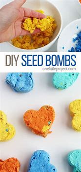Image result for DIY Paper Seed Bombs