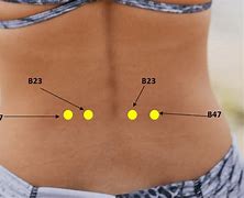 Image result for Back Pain Acupuncture Points