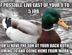 Image result for Funny Advice Memes