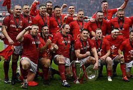 Image result for Wales Rugby Union