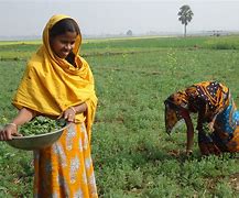 Image result for South Indian Farmer