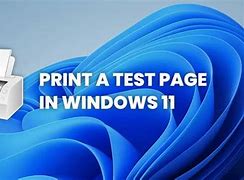 Image result for Printer Test Page Windows 1.0