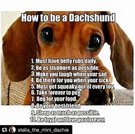 Image result for Funny Wiener Dog Memes