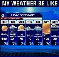 Image result for New York Weather Memes