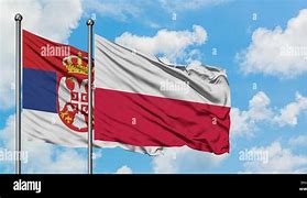 Image result for Serbia Poland Flag