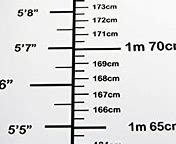 Image result for 4 Meters Tall