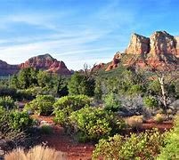 Image result for Arizona Desert Landscape