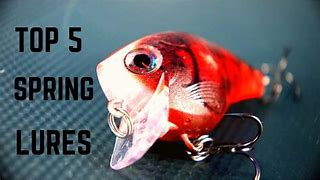 Image result for Best Bass Fishing Bait