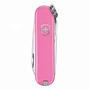 Image result for Swiss Army Knife Survival