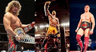 Image result for Professional Wrestling Promotion