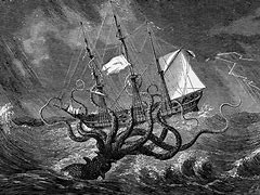 Image result for Octopus Attacking