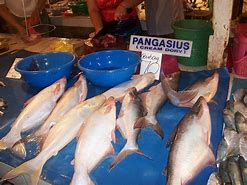 Image result for Fish Jokes Funny Tagalog