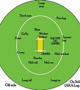 Image result for Cricket Fielding