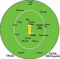Image result for Cricket Players On Field