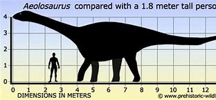 Image result for Aeolosaurus