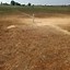 Image result for Cricket Pitch