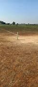 Image result for Cricket Pitch Side View