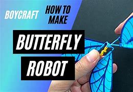 Image result for Butterfly Robot with Functions