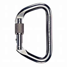 Image result for Stainless Steel Locking Carabiner
