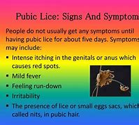 Image result for Crab Lice Symptoms