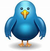 Image result for Animated Twitter Bird