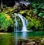 Image result for Photography Cool Nature