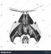 Image result for Charcoal Bat Art