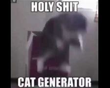 Image result for Holy Moly Cat Meme