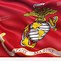 Image result for Marine Corps Flag in Wind