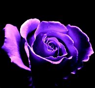 Image result for Dark Purple Flower iPhone Wallpaper