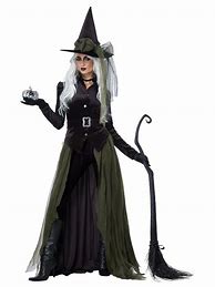 Image result for Girls Gothic Witch Costume