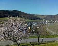 Image result for co_to_znaczy_zeltingen rachtig