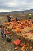Image result for Kidsos Farms Near Me