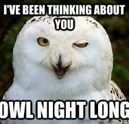 Image result for Funny Night Owl Memes