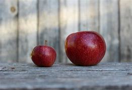 Image result for Red Delicious Apple