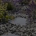 Image result for Blue Stepping Stones