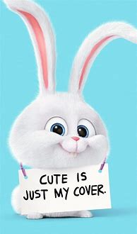 Image result for Adorable Phone Wallpapers Funny