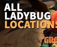 Image result for Grounded Fungal Ladybug